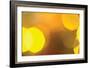 Yellow-Karyn Millet-Framed Photographic Print