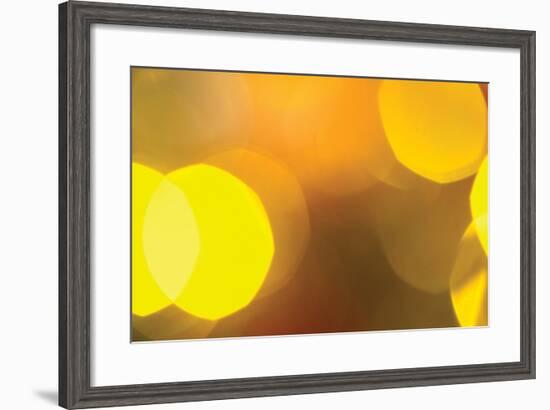 Yellow-Karyn Millet-Framed Photographic Print