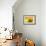 Yellow-Karyn Millet-Framed Photographic Print displayed on a wall