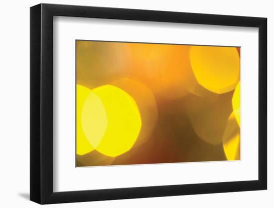 Yellow-Karyn Millet-Framed Photographic Print