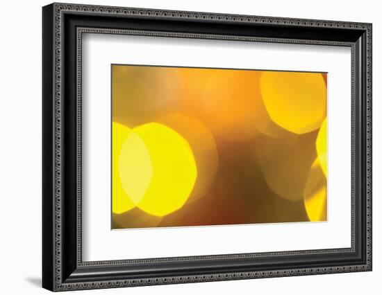 Yellow-Karyn Millet-Framed Photographic Print