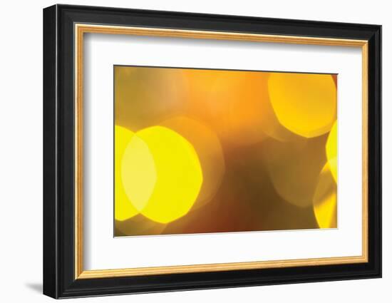 Yellow-Karyn Millet-Framed Photographic Print