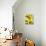 Yellow-Vaan Manoukian-Framed Stretched Canvas displayed on a wall