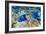 Yellowbar Angelfish-Georgette Douwma-Framed Photographic Print