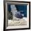 Yellowbar Purplemoon Angelfish Captive-Jane Burton-Framed Photographic Print