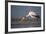 Yellowbilled Stork (Mycteria Ibis), Zimanga Private Game Reserve, Kwazulu-Natal, South Africa-Ann & Steve Toon-Framed Photographic Print