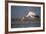 Yellowbilled Stork (Mycteria Ibis), Zimanga Private Game Reserve, Kwazulu-Natal, South Africa-Ann & Steve Toon-Framed Photographic Print