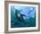 Yellowfin Tuna-Louise Murray-Framed Photographic Print