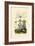 Yellowjacket Hoover Fly, 1833-39-null-Framed Giclee Print