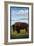 Yellowknife, NW Territories, Canada, Bison Scene-Lantern Press-Framed Art Print