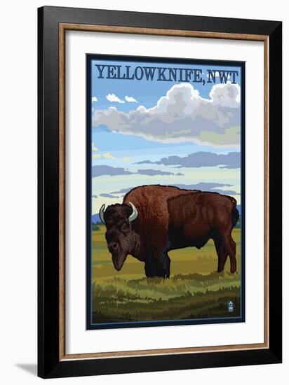 Yellowknife, NW Territories, Canada, Bison Scene-Lantern Press-Framed Art Print