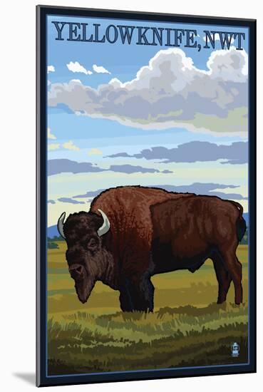 Yellowknife, NW Territories, Canada, Bison Scene-Lantern Press-Mounted Art Print