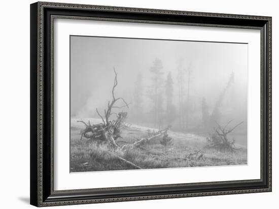 Yellowstone 3-Gordon Semmens-Framed Photographic Print