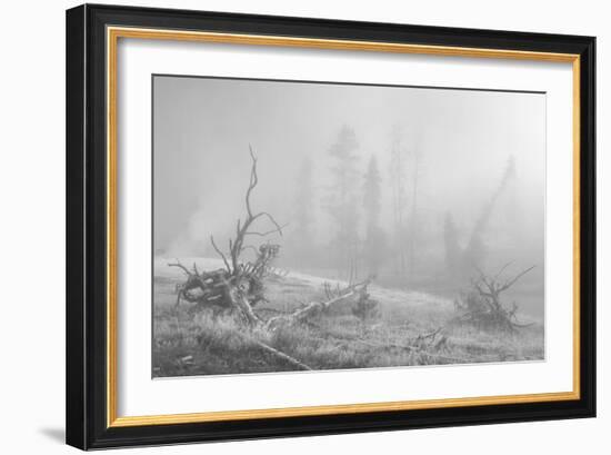 Yellowstone 3-Gordon Semmens-Framed Photographic Print