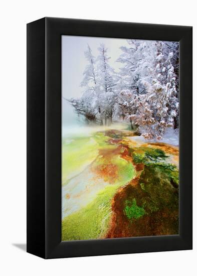 Yellowstone Basin-Howard Ruby-Framed Premier Image Canvas