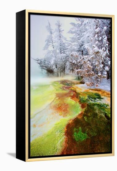 Yellowstone Basin-Howard Ruby-Framed Premier Image Canvas