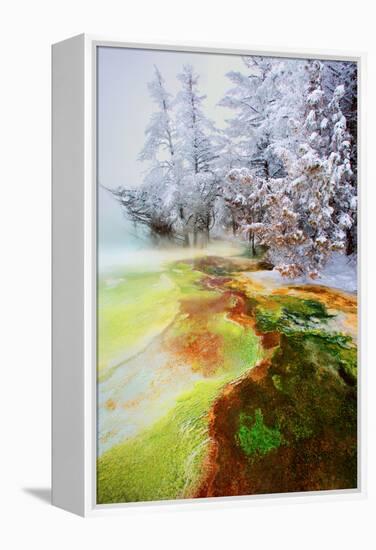 Yellowstone Basin-Howard Ruby-Framed Premier Image Canvas