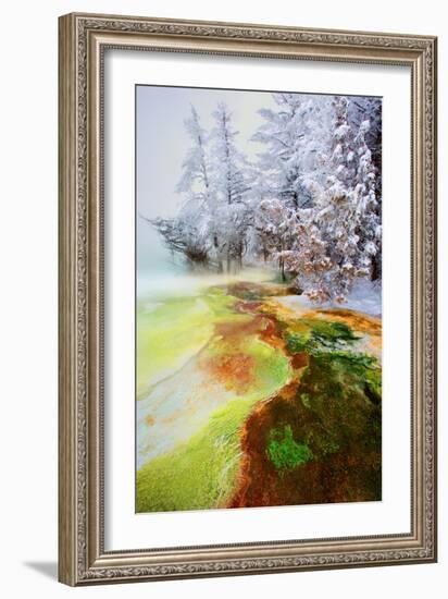 Yellowstone Basin-Howard Ruby-Framed Photographic Print