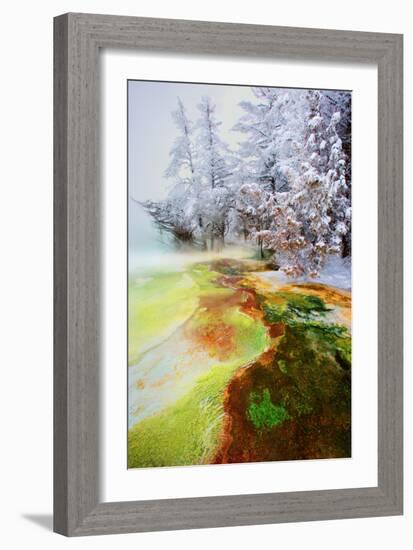 Yellowstone Basin-Howard Ruby-Framed Photographic Print