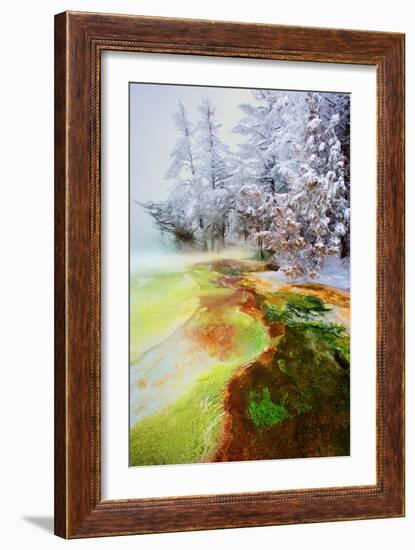 Yellowstone Basin-Howard Ruby-Framed Photographic Print