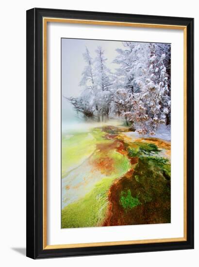 Yellowstone Basin-Howard Ruby-Framed Photographic Print