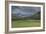 Yellowstone Bison with Rainbow-Galloimages Online-Framed Photographic Print