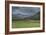 Yellowstone Bison with Rainbow-Galloimages Online-Framed Photographic Print