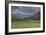 Yellowstone Bison with Rainbow-Galloimages Online-Framed Photographic Print