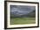 Yellowstone Bison with Rainbow-Galloimages Online-Framed Photographic Print