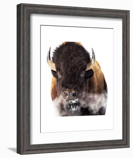 Yellowstone Bison-Jason Savage-Framed Art Print