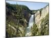 Yellowstone Canyon, Yellowstone National Park, Unesco World Heritage Site, Wyoming, USA-Ethel Davies-Mounted Photographic Print