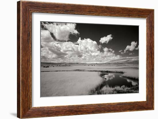 Yellowstone Creek and Clouds I-George Johnson-Framed Photographic Print