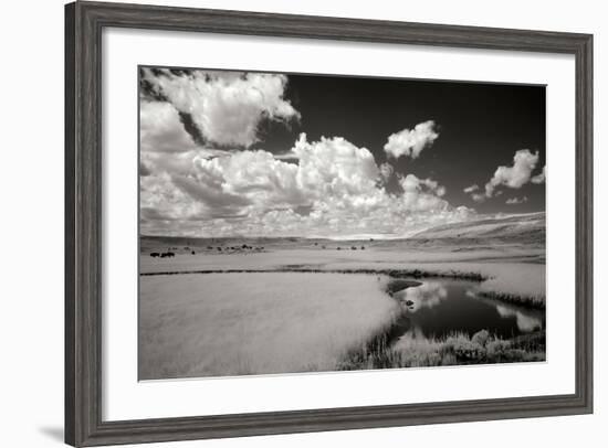 Yellowstone Creek and Clouds I-George Johnson-Framed Photographic Print