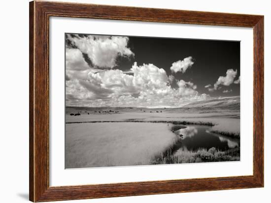 Yellowstone Creek and Clouds I-George Johnson-Framed Photographic Print