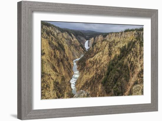 Yellowstone Grand Canyon - Lower Falls-Galloimages Online-Framed Photographic Print
