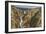 Yellowstone Grand Canyon - Lower Falls-Galloimages Online-Framed Photographic Print