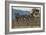 Yellowstone Horse-Drawn Charabanc-null-Framed Art Print