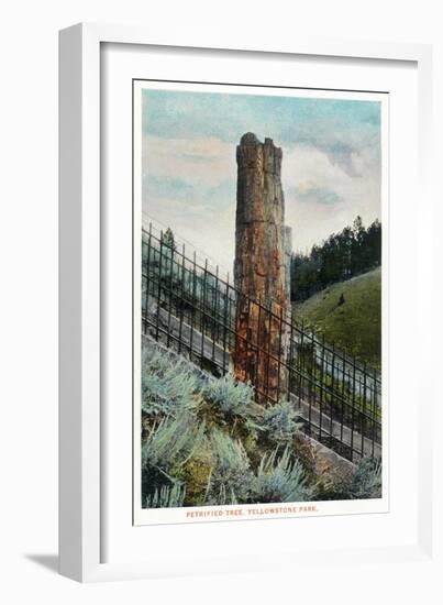 Yellowstone Nat'l Park, Wyoming - View of a Petrified Tree-Lantern Press-Framed Art Print