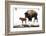 Yellowstone National Park. A female bison feeds while her new born calf shivers in the spring snow.-Ellen Goff-Framed Photographic Print