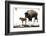 Yellowstone National Park. A female bison feeds while her new born calf shivers in the spring snow.-Ellen Goff-Framed Photographic Print