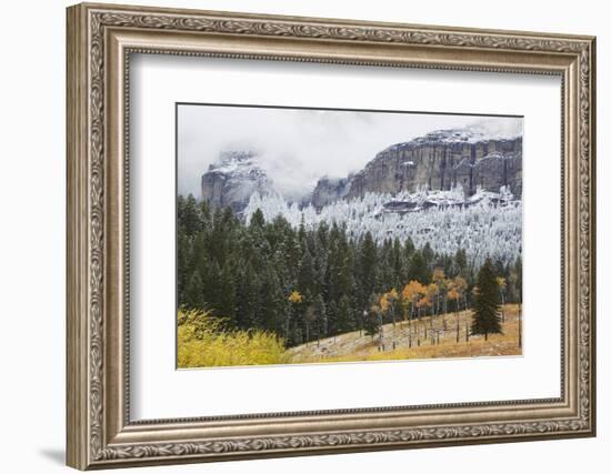 Yellowstone National Park, Autumn Frost-Ken Archer-Framed Photographic Print