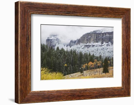 Yellowstone National Park, Autumn Frost-Ken Archer-Framed Photographic Print