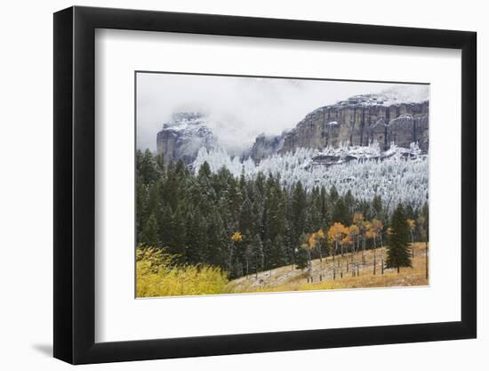 Yellowstone National Park, Autumn Frost-Ken Archer-Framed Photographic Print