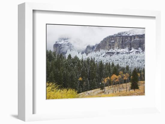 Yellowstone National Park, Autumn Frost-Ken Archer-Framed Photographic Print