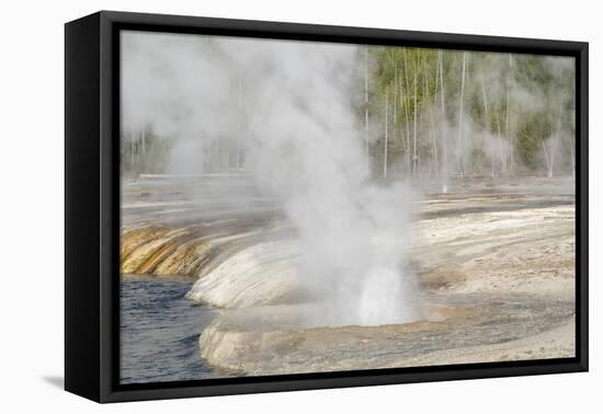Yellowstone National Park, Biscuit Geyser Basin. Steam rising from the small geysers.-Ellen Goff-Framed Premier Image Canvas