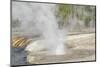Yellowstone National Park, Biscuit Geyser Basin. Steam rising from the small geysers.-Ellen Goff-Mounted Photographic Print