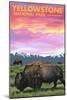 Yellowstone National Park - Bison and Sunset-Lantern Press-Mounted Premium Giclee Print