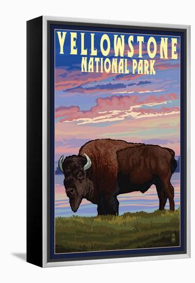 Yellowstone National Park - Bison and Sunset-Lantern Press-Framed Stretched Canvas