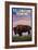 Yellowstone National Park - Bison and Sunset-Lantern Press-Framed Premium Giclee Print