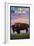 Yellowstone National Park - Bison and Sunset-Lantern Press-Framed Premium Giclee Print